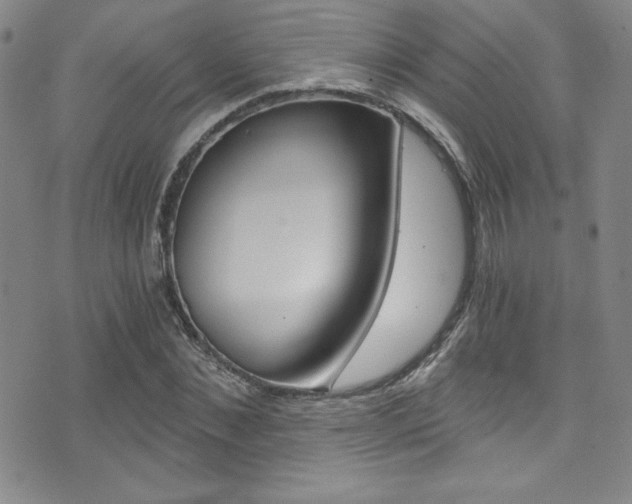 X0000072950876200607210929