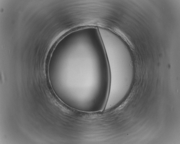 X0000072950884200607210929