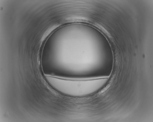 X0000072950885200607210929