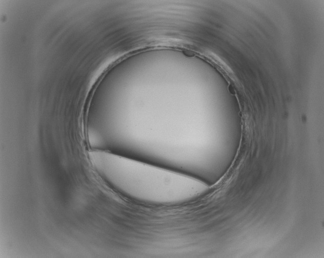 X0000072950891200607210929