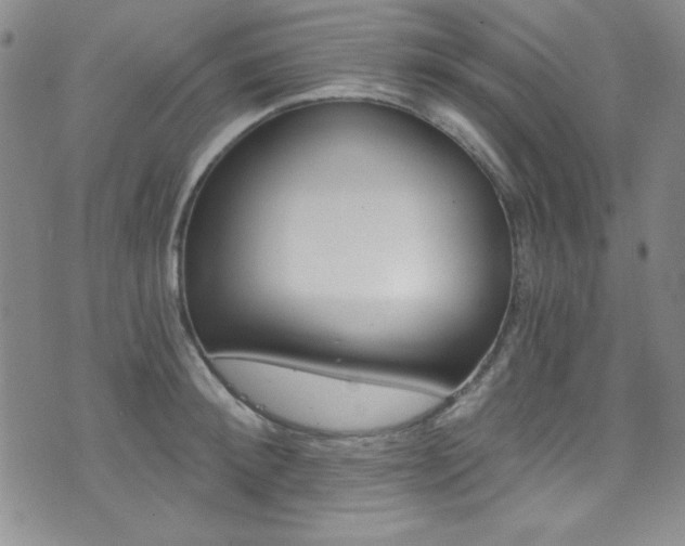 X0000072950900200607210929