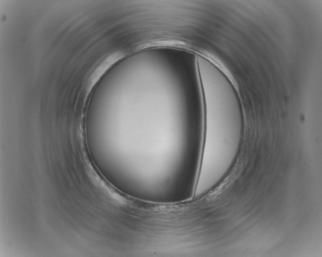 X0000072950906200607210929