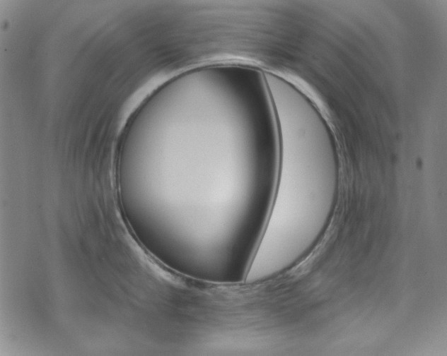 X0000072950910200607210929