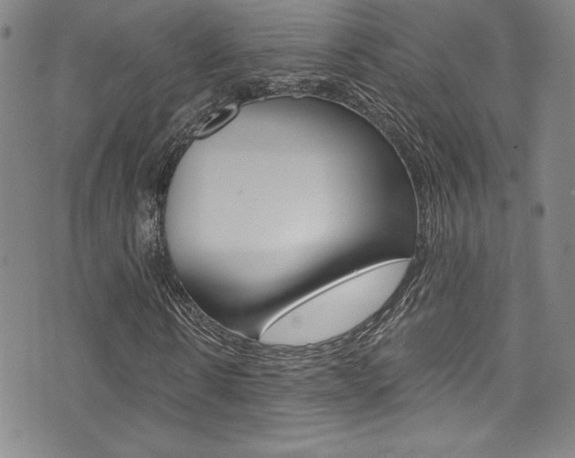 X0000072950914200607210928