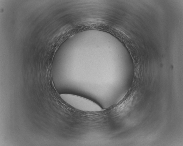 X0000072950917200607210928