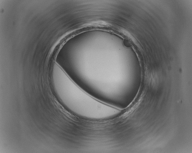 X0000072950923200607210928