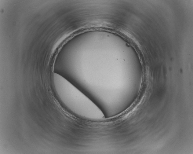 X0000072950925200607210928