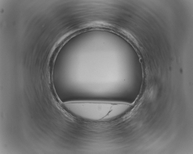 X0000072950931200607210928