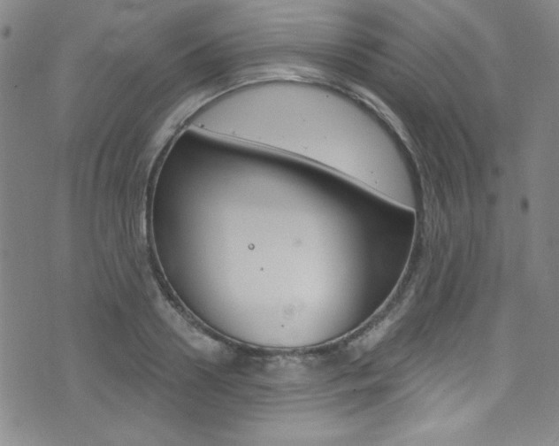 X0000072950938200607210928