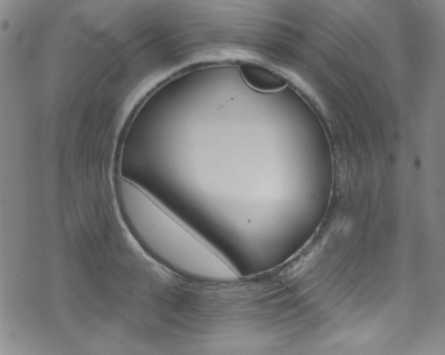 X0000072950943200607210929