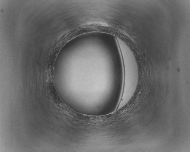 X0000072950965200607210928