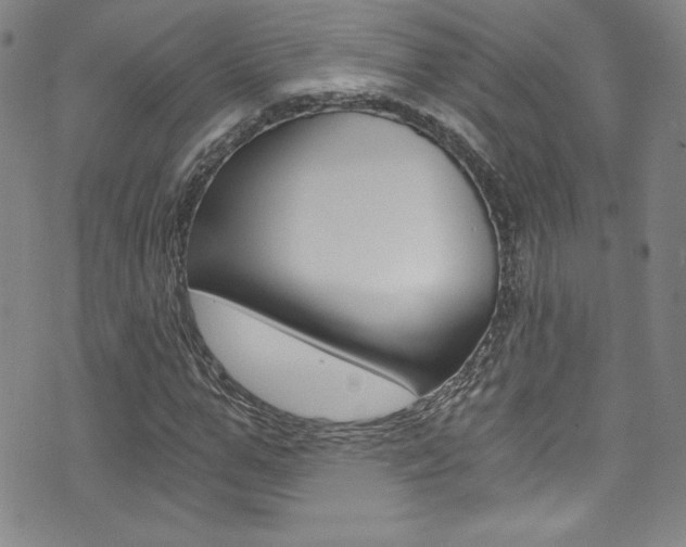 X0000072950967200607210928