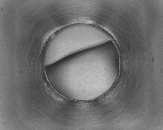 X0000072950971200607210928