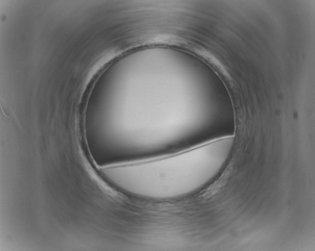 X0000072950991200607210928