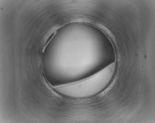 X0000072950993200607210928