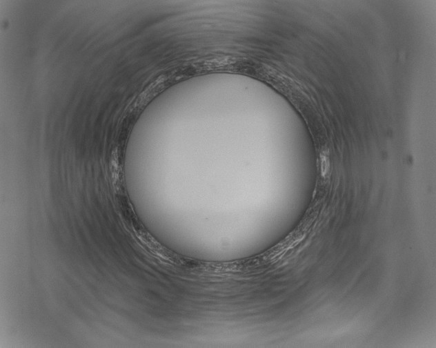 X0000072951011200607210927
