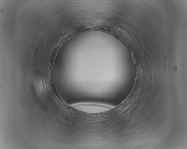 X0000072951012200607210927