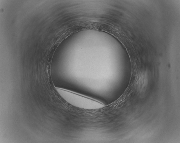 X0000072951013200607210927