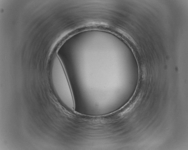 X0000072951021200607210927