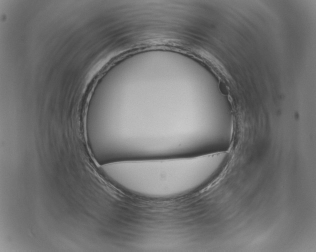 X0000072951023200607210927