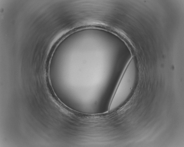 X0000072951024200607210927