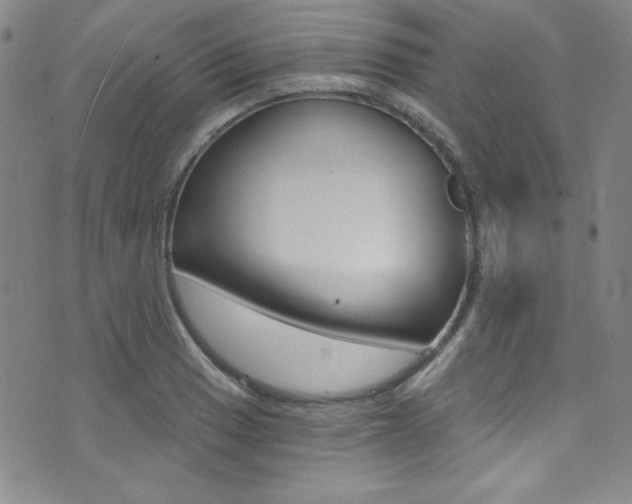 X0000072951033200607210927