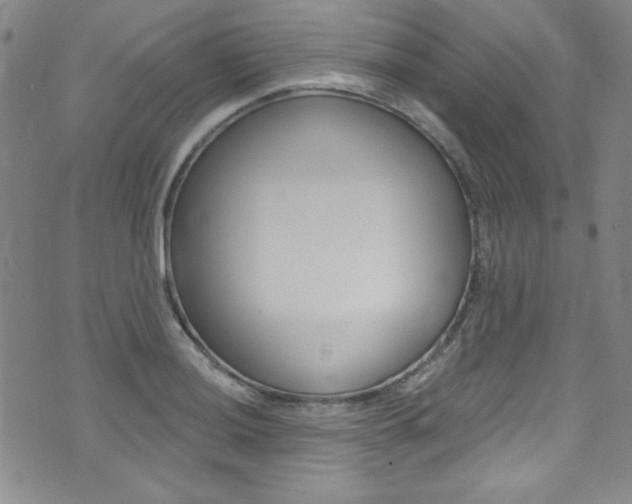 X0000072951036200607210927