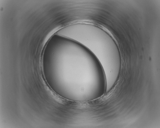 X0000072951050200607210927