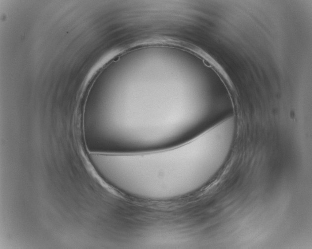 X0000072951053200607210927