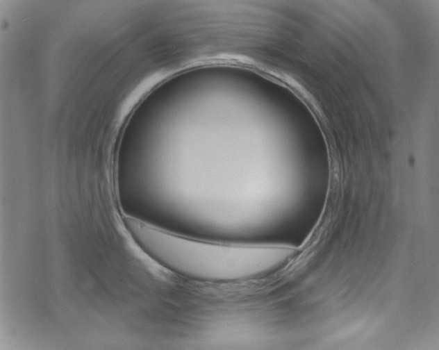 X0000072951054200607210927