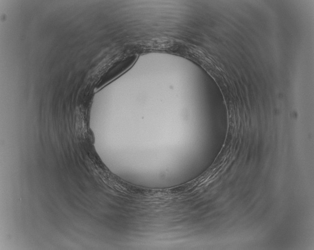 X0000072951058200607210926