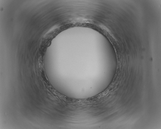 X0000072951063200607210926