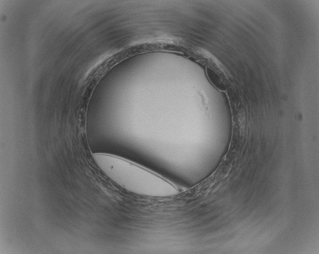 X0000072951064200607210926