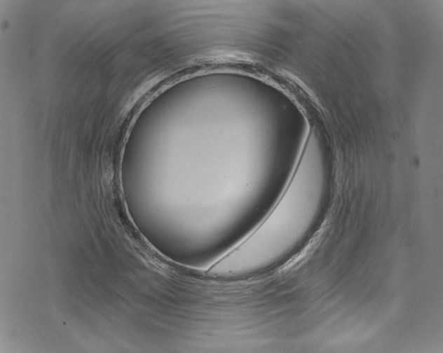 X0000072951065200607210926