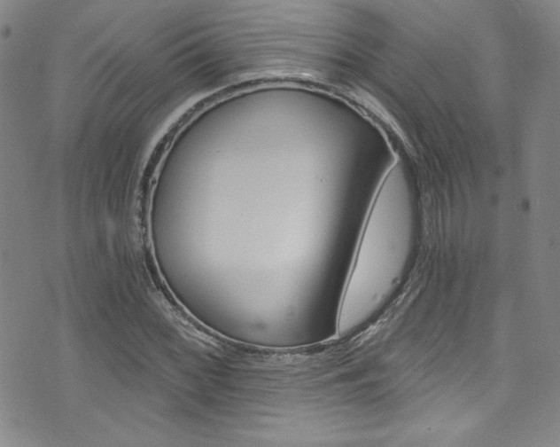 X0000072951068200607210926