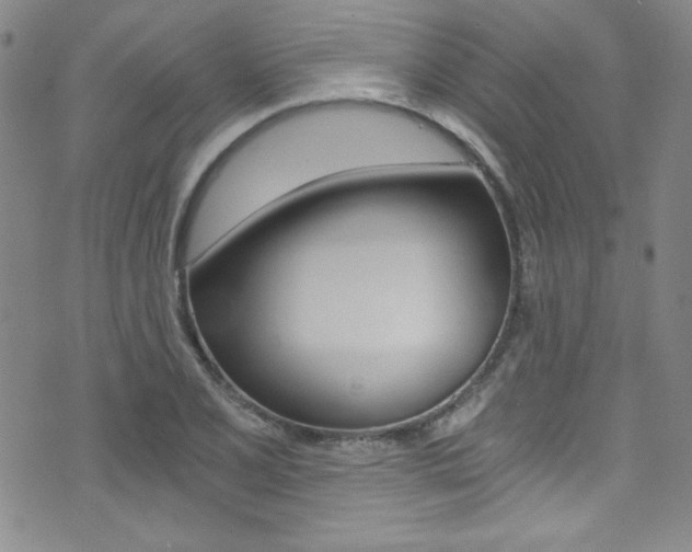 X0000072951077200607210926