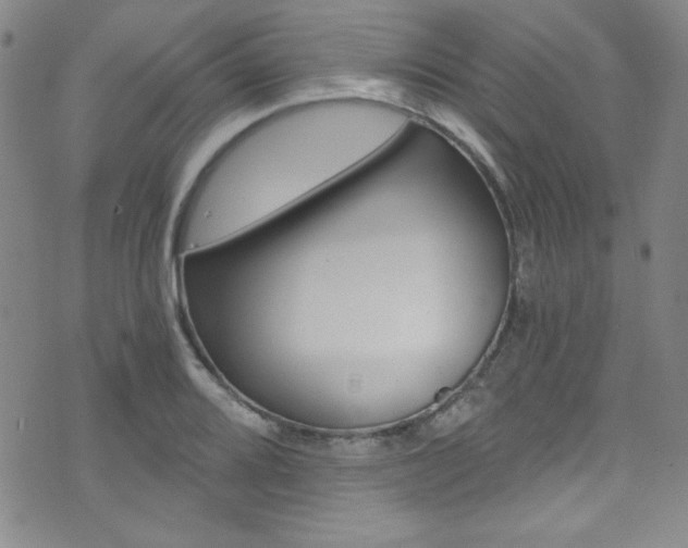 X0000072951080200607210926