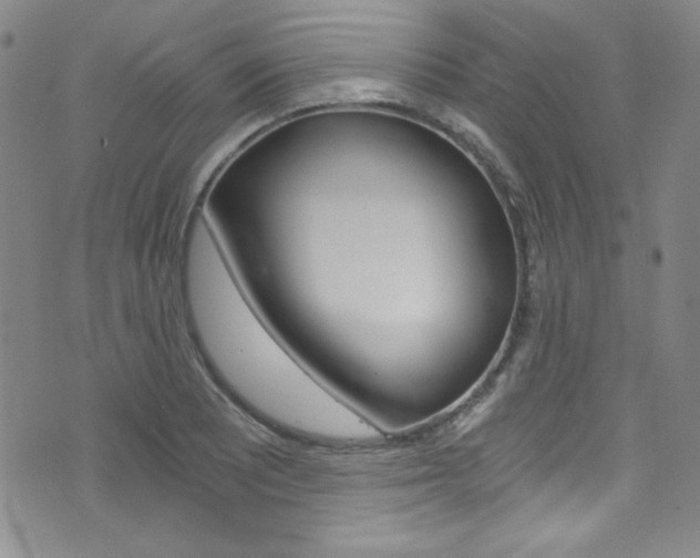 X0000072951081200607210926