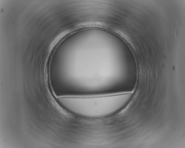 X0000072951082200607210926