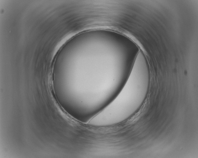 X0000072951101200607210926