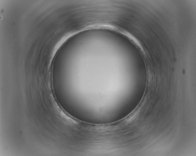 X0000072951102200607210926