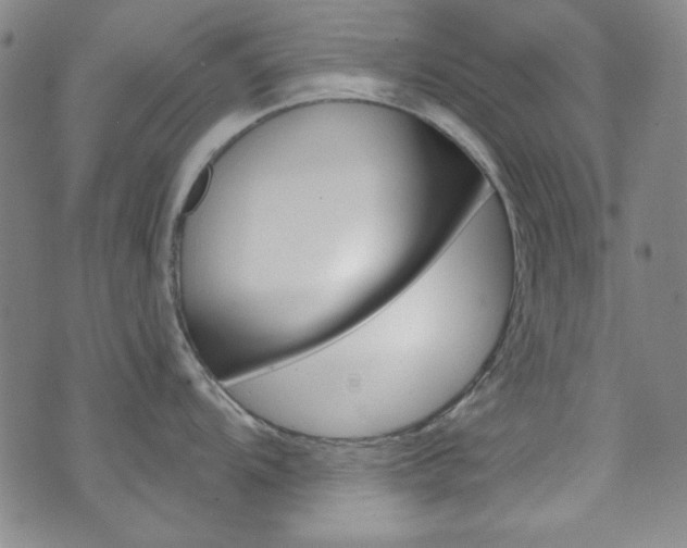 X0000072951104200607210926