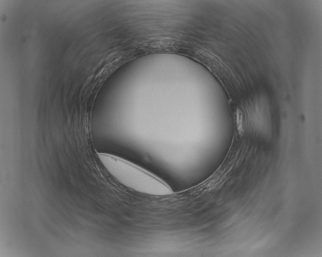 X0000072951107200607210925