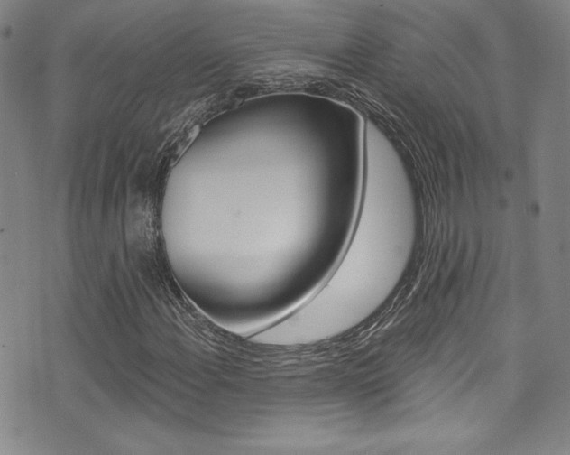 X0000072951108200607210925