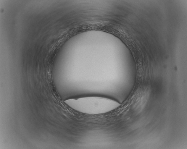 X0000072951109200607210925