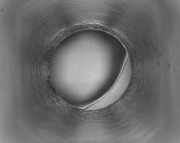 X0000072951110200607210925