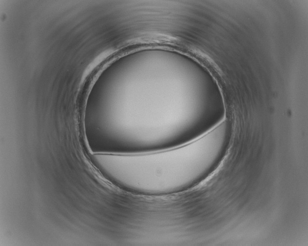 X0000072951114200607210925