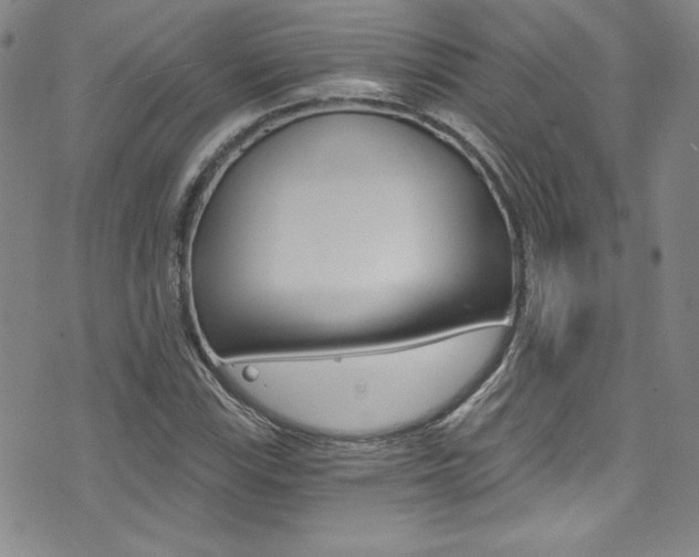 X0000072951115200607210925