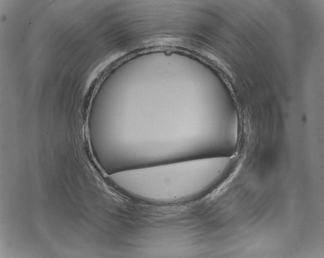 X0000072951117200607210925