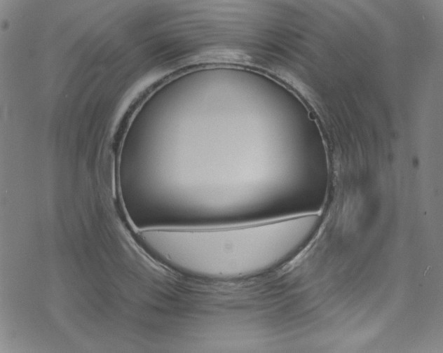 X0000072951123200607210925